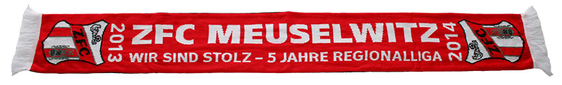 Schal - Regionalliga 2013/14